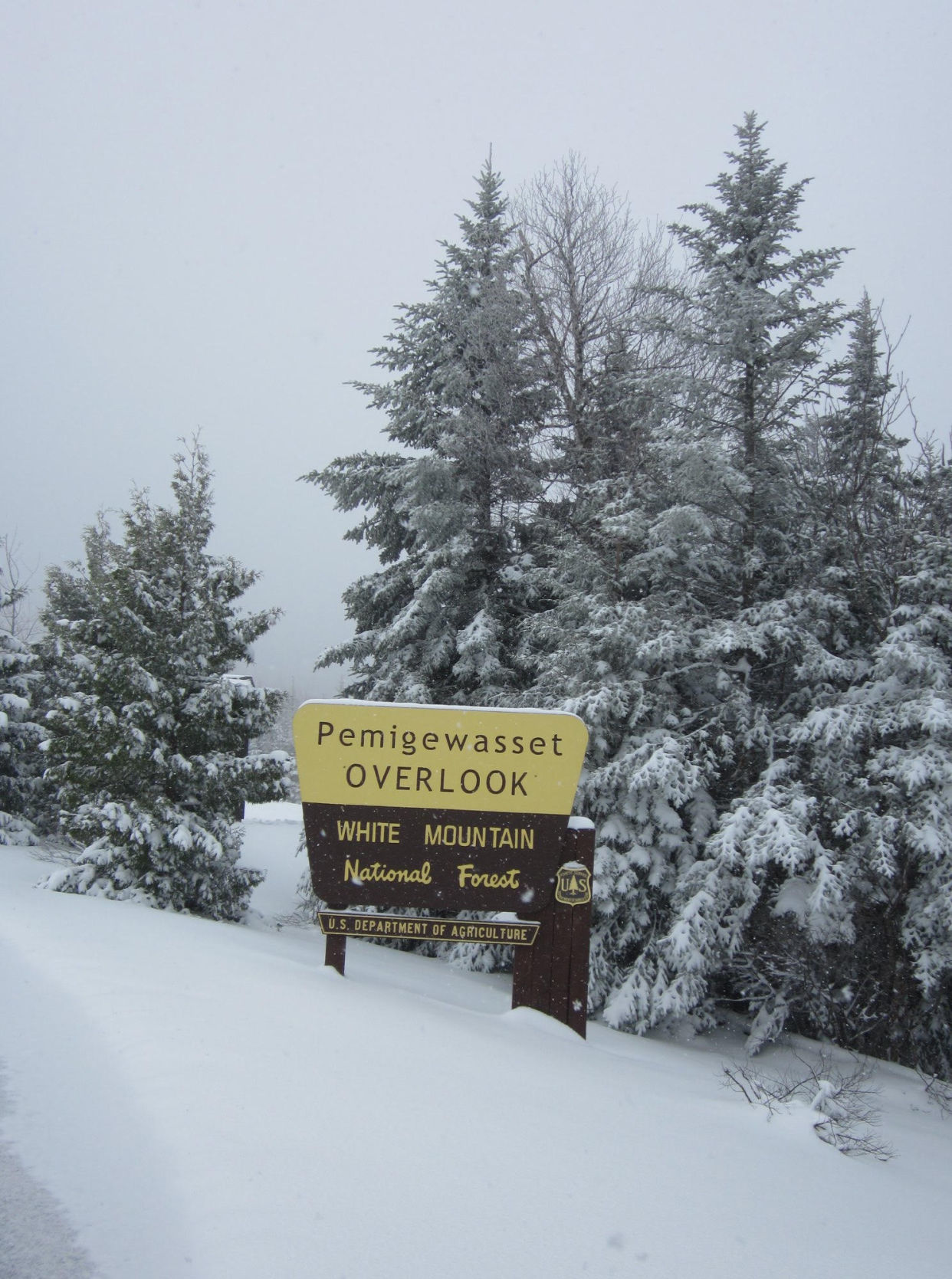190515-news-snowkanc.jpg